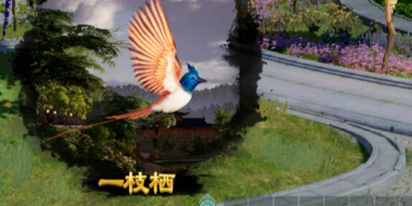 剑网3一枝栖宠物奇遇怎么做 剑网3一枝栖宠物奇遇详细流程奖励一览