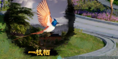 剑网3一枝栖宠物奇遇怎么做 剑网3一枝栖宠物奇遇详细流程奖励一览