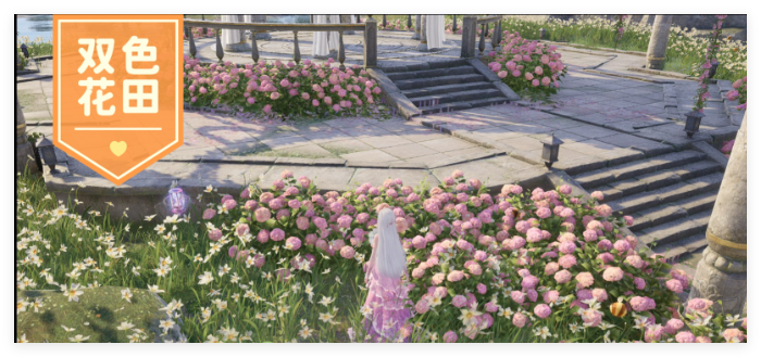 无限暖暖天鹅羽亭怎么拍照