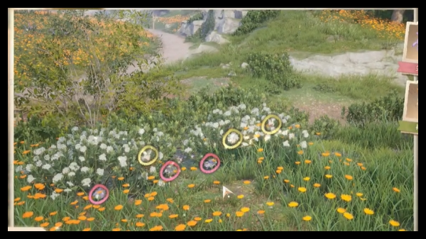无限暖暖照片调查白日昆虫怎么做一览 无限暖暖照片调查白日昆虫怎么做攻略