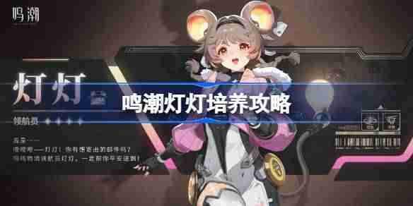 鸣潮灯灯培养攻略 鸣潮灯灯声骸武器阵容推荐