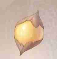 无限暖暖瓜子珠如何采集 无限暖暖瓜子珠作用以及采集地点介绍