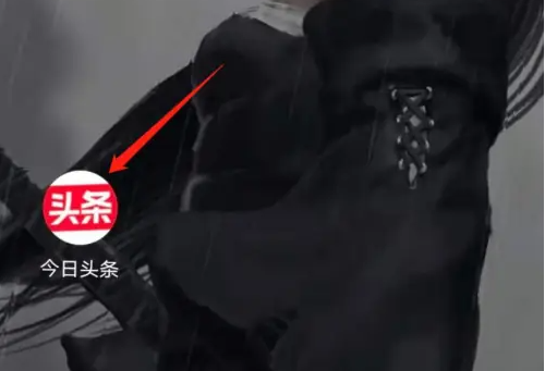 今日头条听书怎么改成看书 今日头条听书改成看书方法