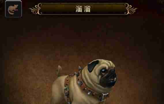 魔兽世界溜溜宠物狗怎么获得 溜溜获取方法详解