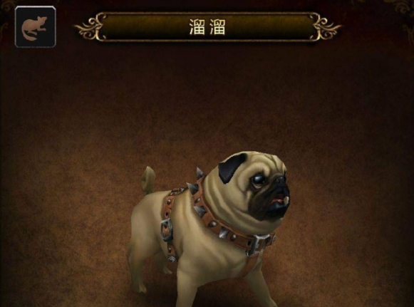 魔兽世界宠物溜溜怎么获得 宠物溜溜获取攻略