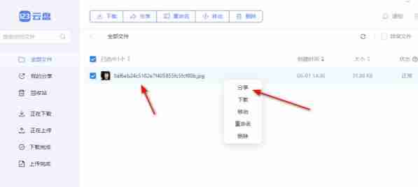 123云盘怎么分享链接 123云盘分享链接方法介绍