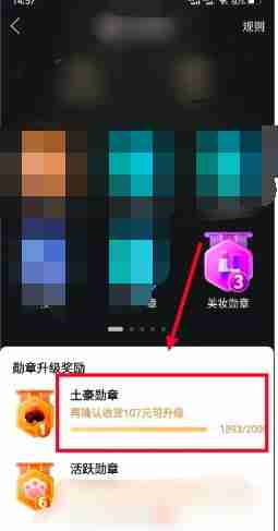拼多多额度在哪里可看 拼多多额度查看方法图文教程