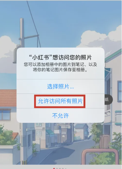 小红书图片怎么保存到相册 小红书图片保存到相册方法图文教程