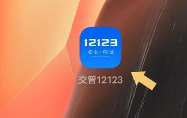 交管12123拍照功能在哪 拍照功能打开方法教程
