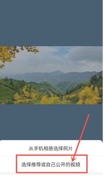 抖音主页背景动态视频怎么设置 抖音主页背景动态视频设置方法教程