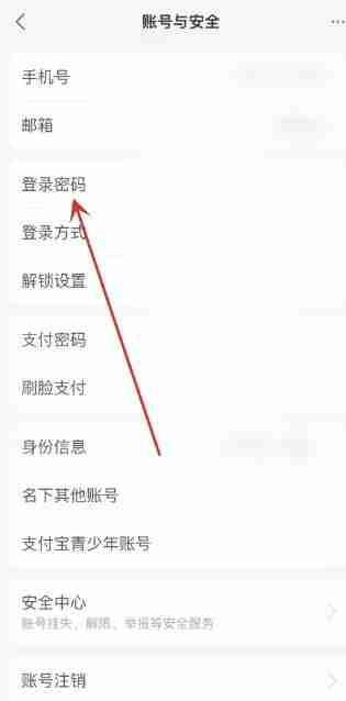 支付宝登陆密码在哪里设置 登陆密码设置方法图文教程