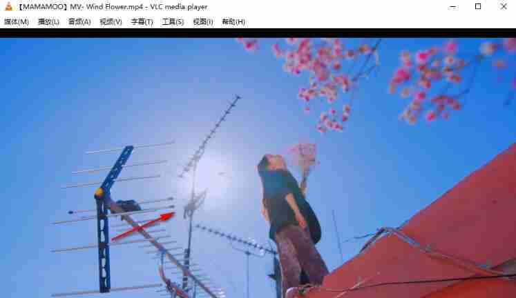 快手直播伴侣怎么播放电视剧赚钱 播放电视剧赚钱方法介绍