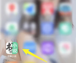 书旗小说书签在哪里 书旗小说书签设置方法图文教程