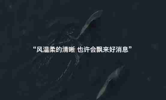 抖音文案短句干净治愈有哪些 抖音干净治愈短句文案分享