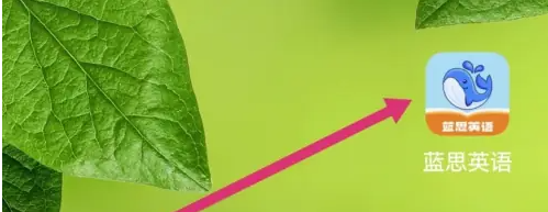 蓝思英语打卡 蓝思英语APP查看打卡天数方法
