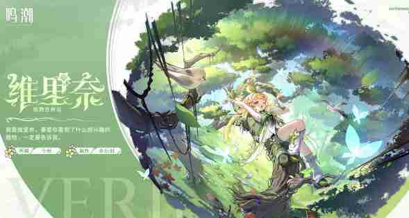 鸣潮椿主c怎么配队 椿主c阵容搭配攻略