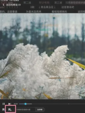 优酷如何调节弹幕速度