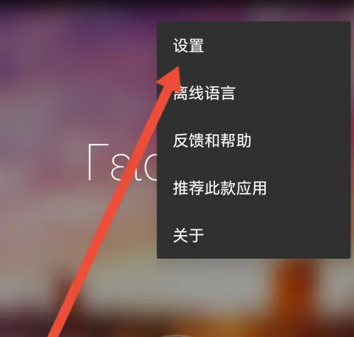 微软翻译怎么清空翻译记录 微软翻译清空翻译记录教程