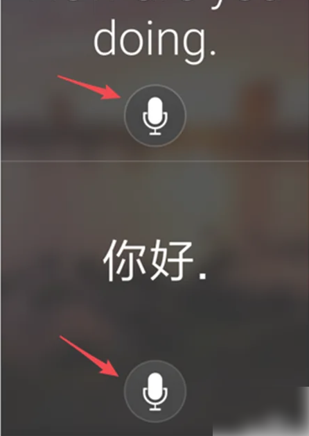 微软翻译怎么一直翻译 微软翻译app实时翻译步骤一览
