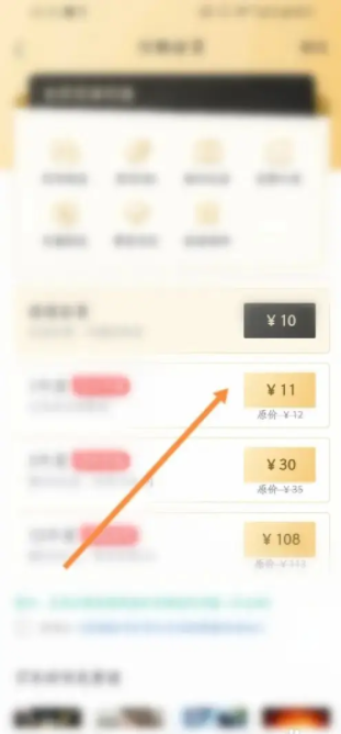 熊猫看书app怎么办理会员 熊猫看书软件如何进行开通会员