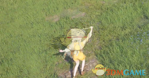 无限暖暖花球娘如何捕捉 花球娘捕捉方法