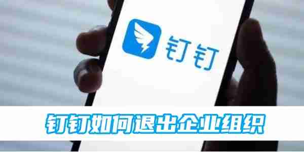 钉钉如何退出企业组织 钉钉退出企业组织方法