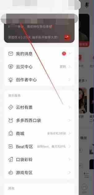 网易云音乐自动续费怎么取消 网易云音乐自动续费取消方法