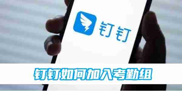 钉钉如何加入考勤组 钉钉加入考勤组方法
