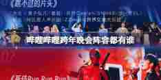 哔哩哔哩跨年晚会阵容都有谁 B站跨年晚会节目单介绍