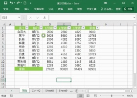 Excel筛选和高级筛选怎么使用 筛选最全教程