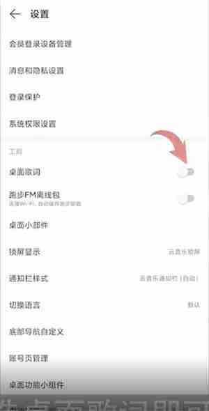 网易云音乐歌词怎么显示在屏幕上 网易云音乐歌词显示教程