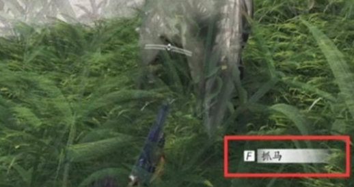 燕云十六声马怎么抓 抓马方法介绍