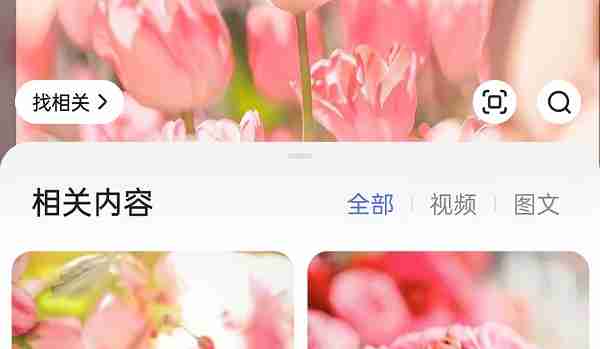 百度怎么搜索图片 百度搜索图片攻略