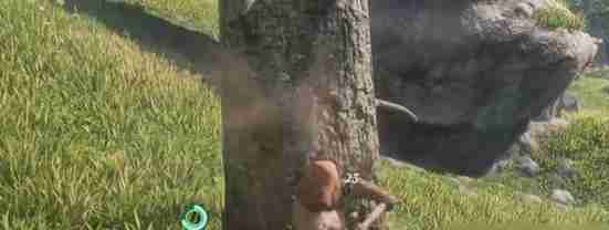 雾锁王国树脂怎么获取 树脂获取方法