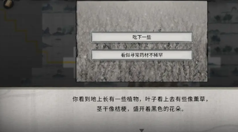 鬼谷八荒随机奇遇有哪些 随机奇遇汇总