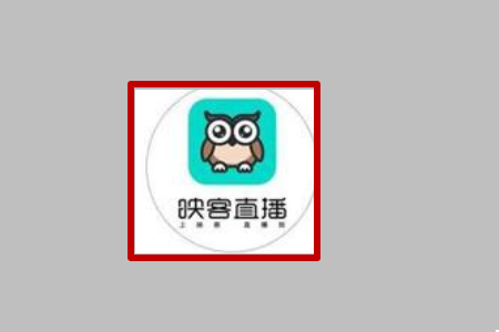 映客直播退出账号怎么退 映客直播退出当前账号方法