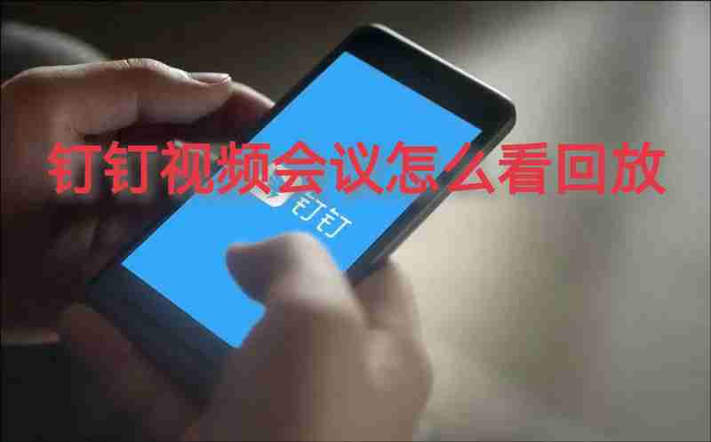 钉钉视频会议怎么查看回放 钉钉视频会议查看回放方法