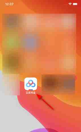 百度网盘尊享图标怎么更换 百度网盘尊享图标更换方法