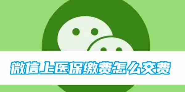 微信上医保缴费怎么交费 