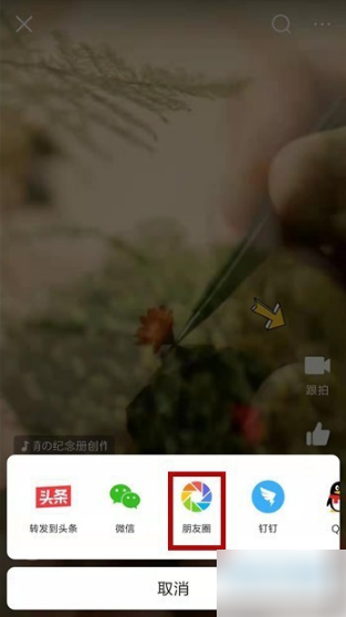 今日头条如何分享朋友圈 今日头条分享到朋友圈方法