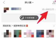 拼多多多总消费账单在哪里看的 拼多多总消费账单查看教程