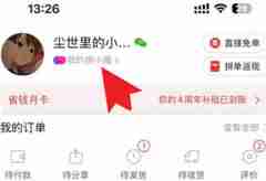 拼多多多总消费账单在哪里看的 拼多多总消费账单查看教程