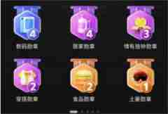 拼多多多总消费账单在哪里看的 拼多多总消费账单查看教程