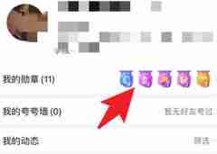 拼多多多总消费账单在哪里看的 拼多多总消费账单查看教程