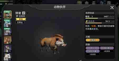 荒原曙光宠物抓哪个好 宠物捕获推荐