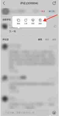 网易云音乐在哪删除评论 网易云音乐删除评论方法