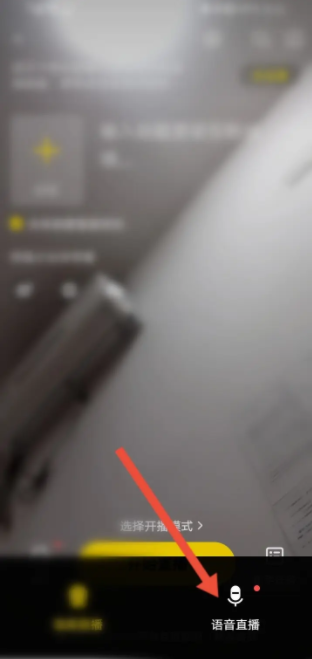 YY语音怎么开启语音直播 开启语音直播操作方法