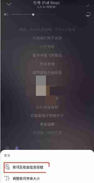 网易云音乐歌词怎么尊享 网易云音乐歌词尊享方法