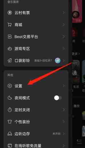 网易云音乐如何更改视频解码格式 网易云音乐更改视频解码格式教程