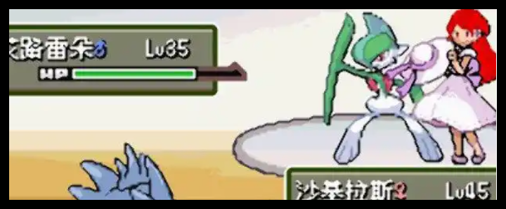 口袋妖怪无界功能性NPC在哪出现